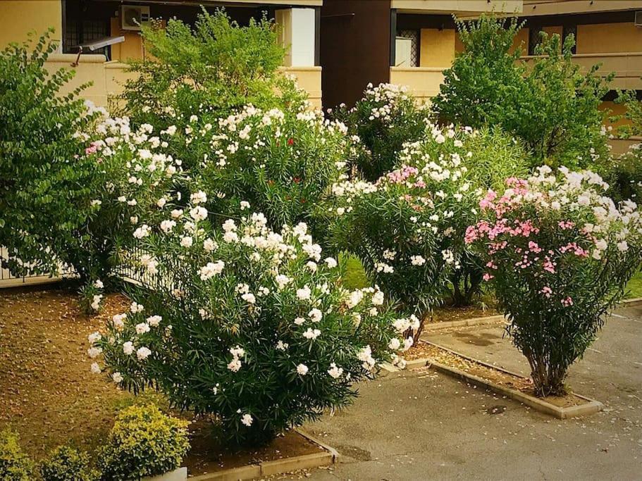 Apartment With Private Parking - Roma Est. Lunghezza Eksteriør bilde
